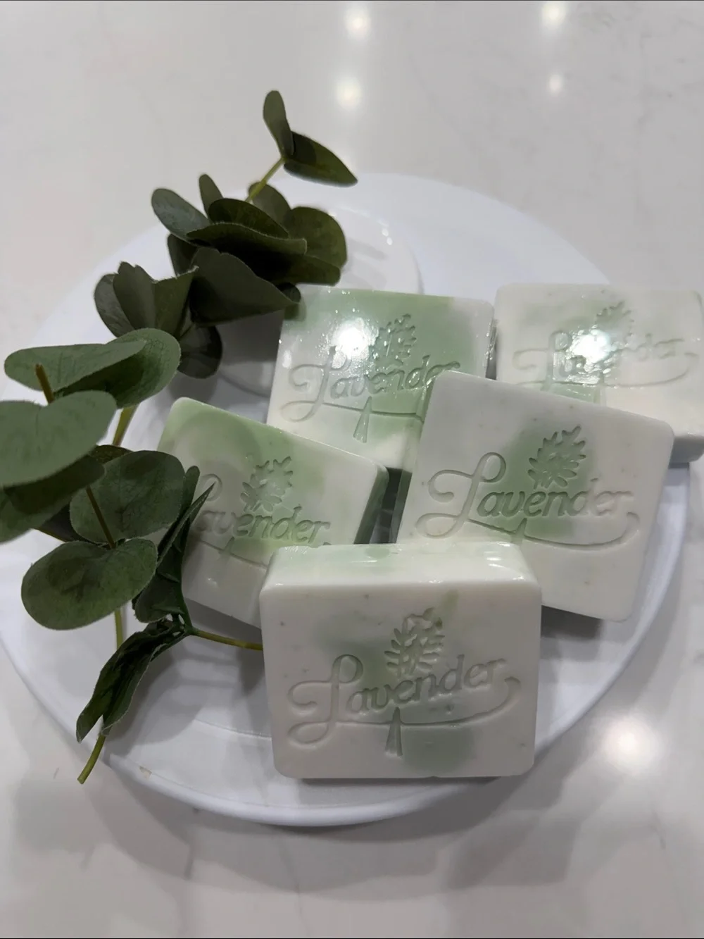 Eucalyptus&Coconut Scented White & Green Soap Bar by